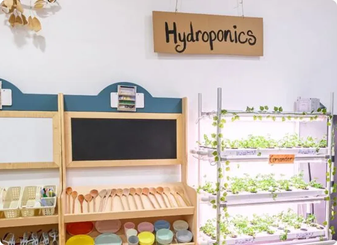 signature programme elements Image