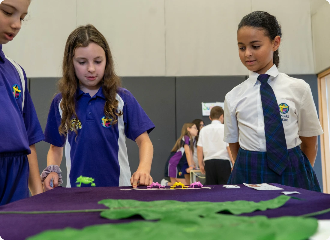 curriculum integration img